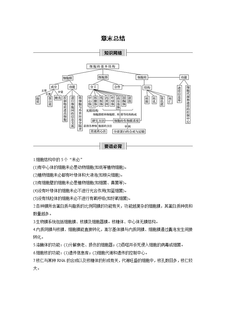 高中生物人教版（2019）必修第一册  第3章 章末总结教案01