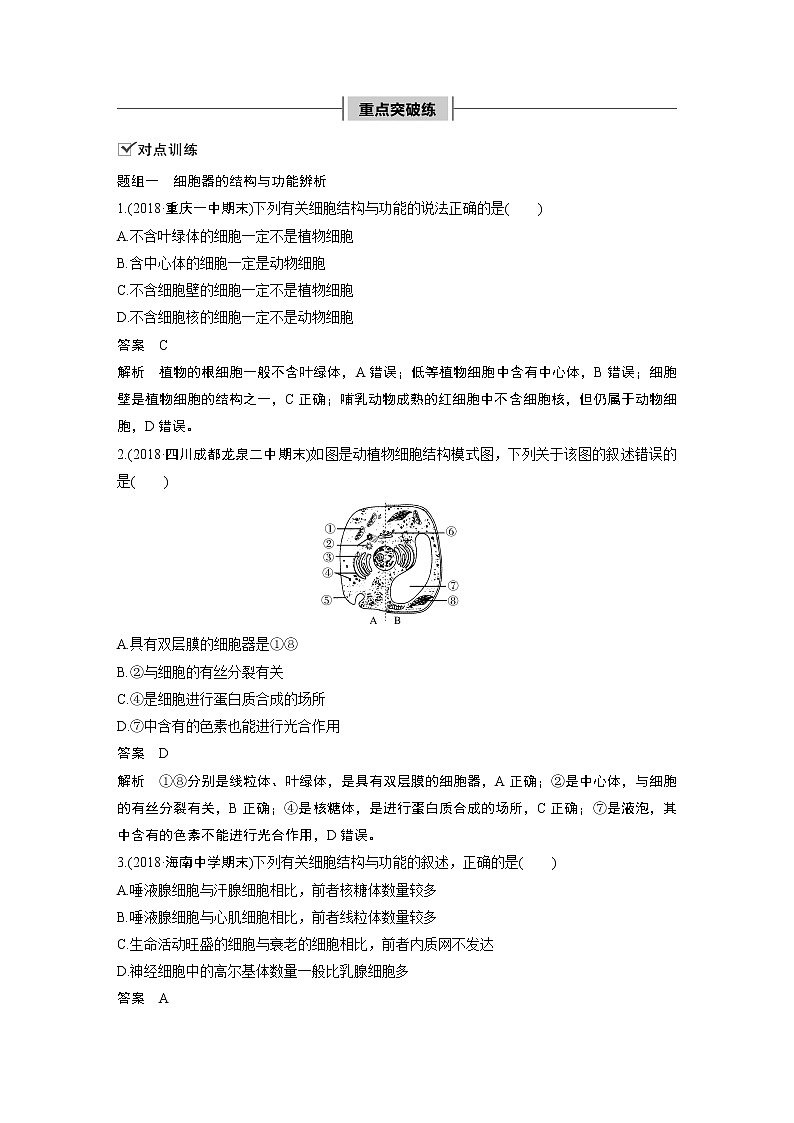 高中生物人教版（2019）必修第一册  第3章 章末总结教案02