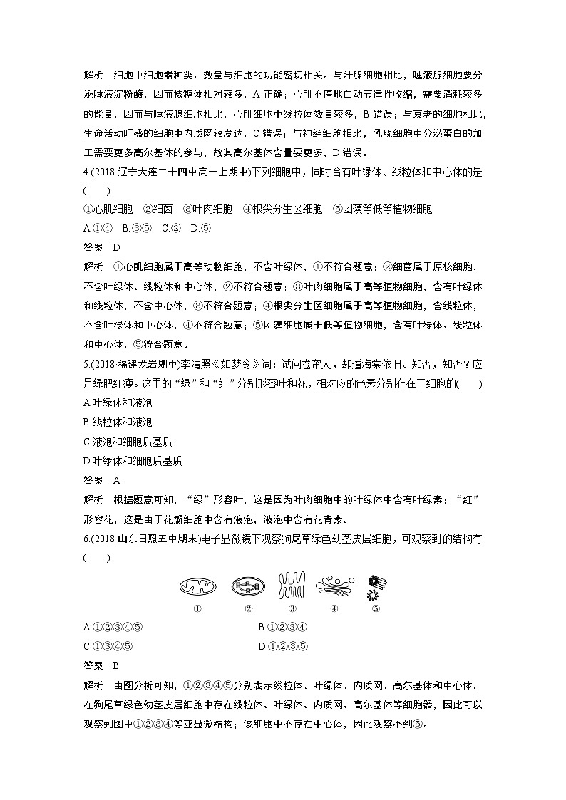 高中生物人教版（2019）必修第一册  第3章 章末总结教案03