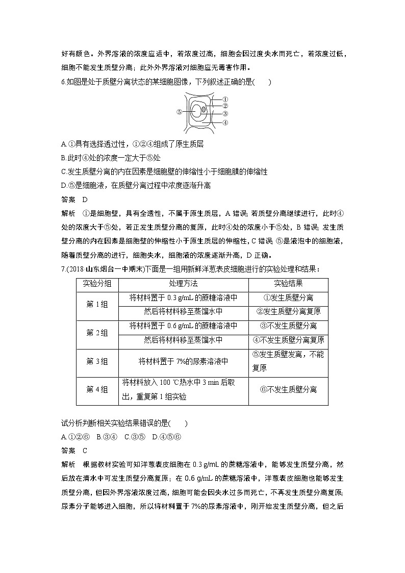 高中生物人教版（2019）必修第一册  章末检测试卷(第4章)03
