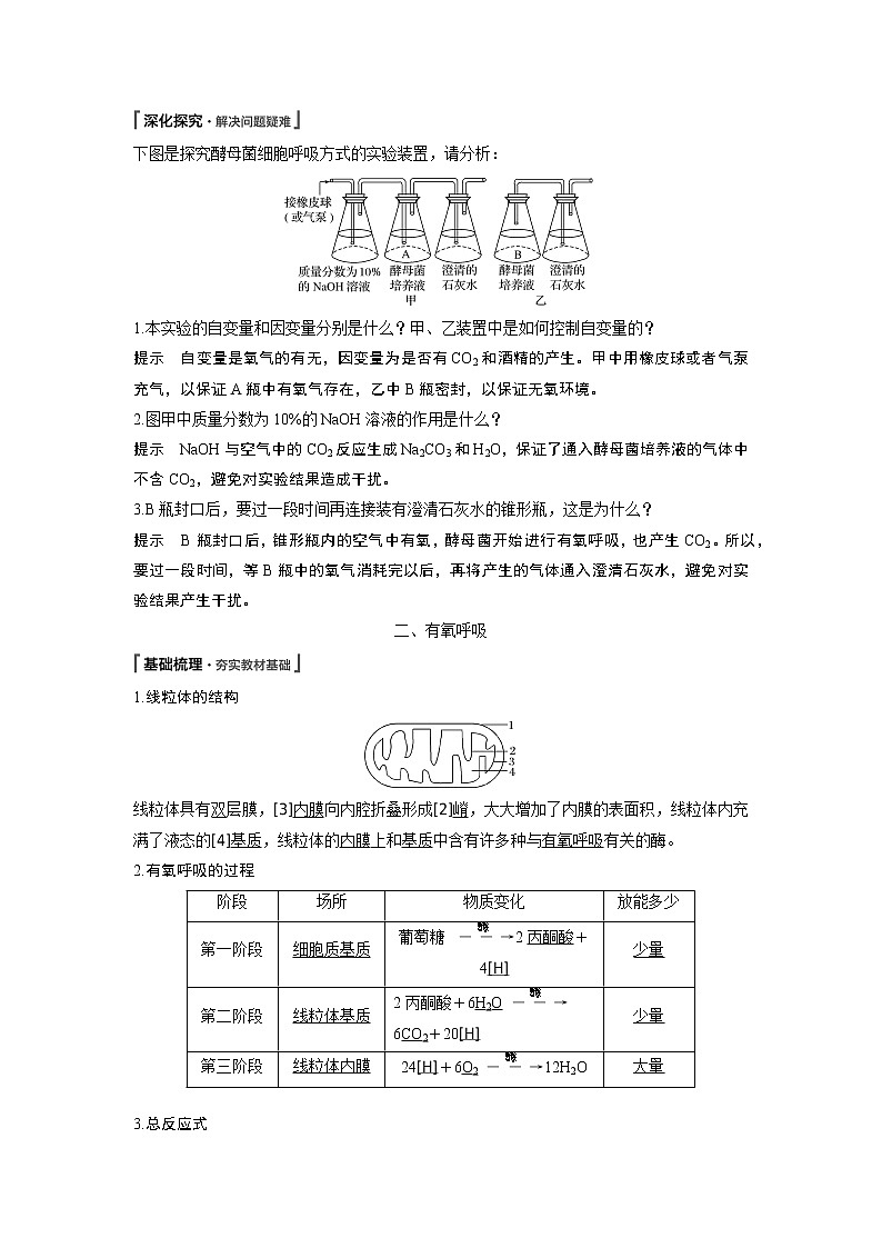 高中生物人教版（2019）必修第一册  第5章 第3节 第1课时　细胞呼吸的方式和有氧呼吸教案02