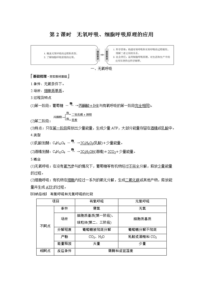 高中生物人教版（2019）必修第一册  第5章 第3节 第2课时　无氧呼吸、细胞呼吸原理的应用教案01