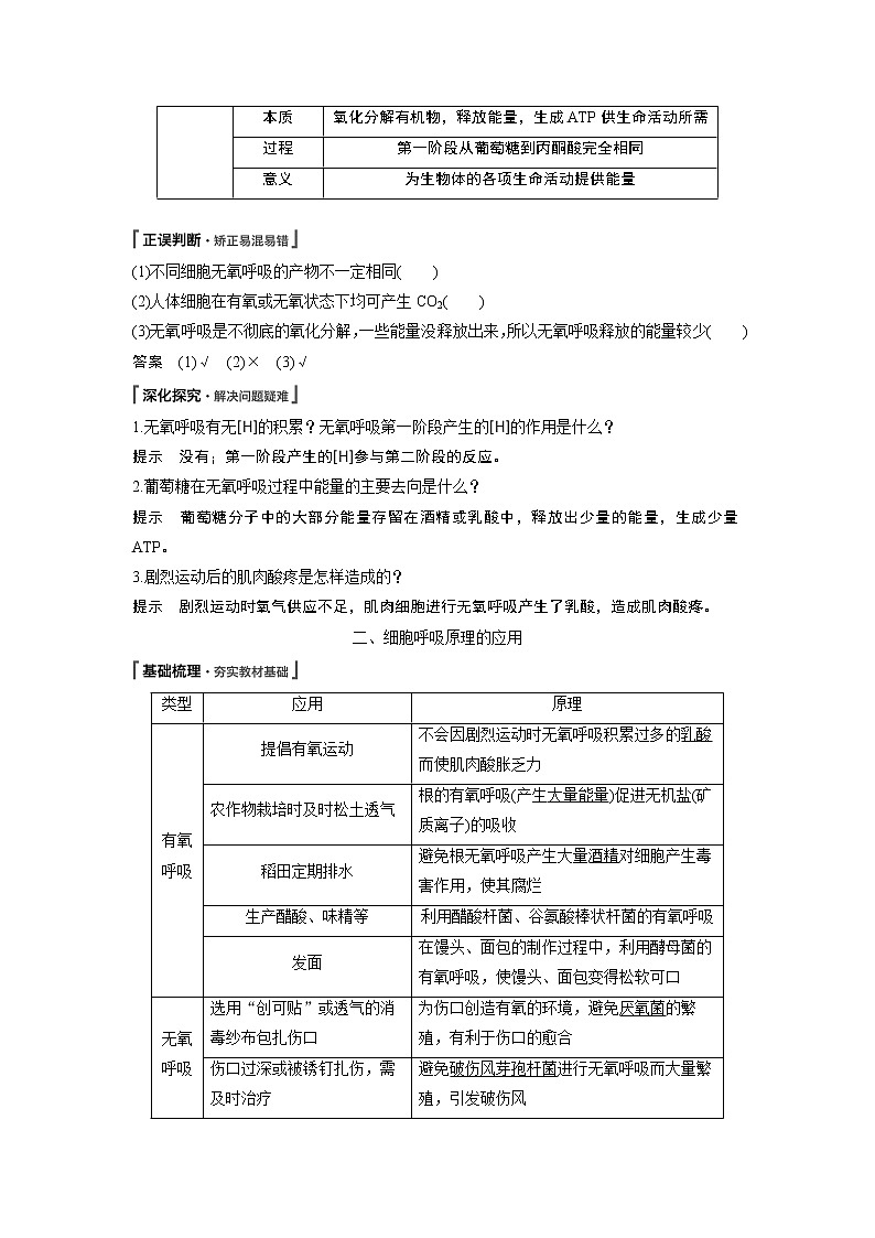 高中生物人教版（2019）必修第一册  第5章 第3节 第2课时　无氧呼吸、细胞呼吸原理的应用教案02