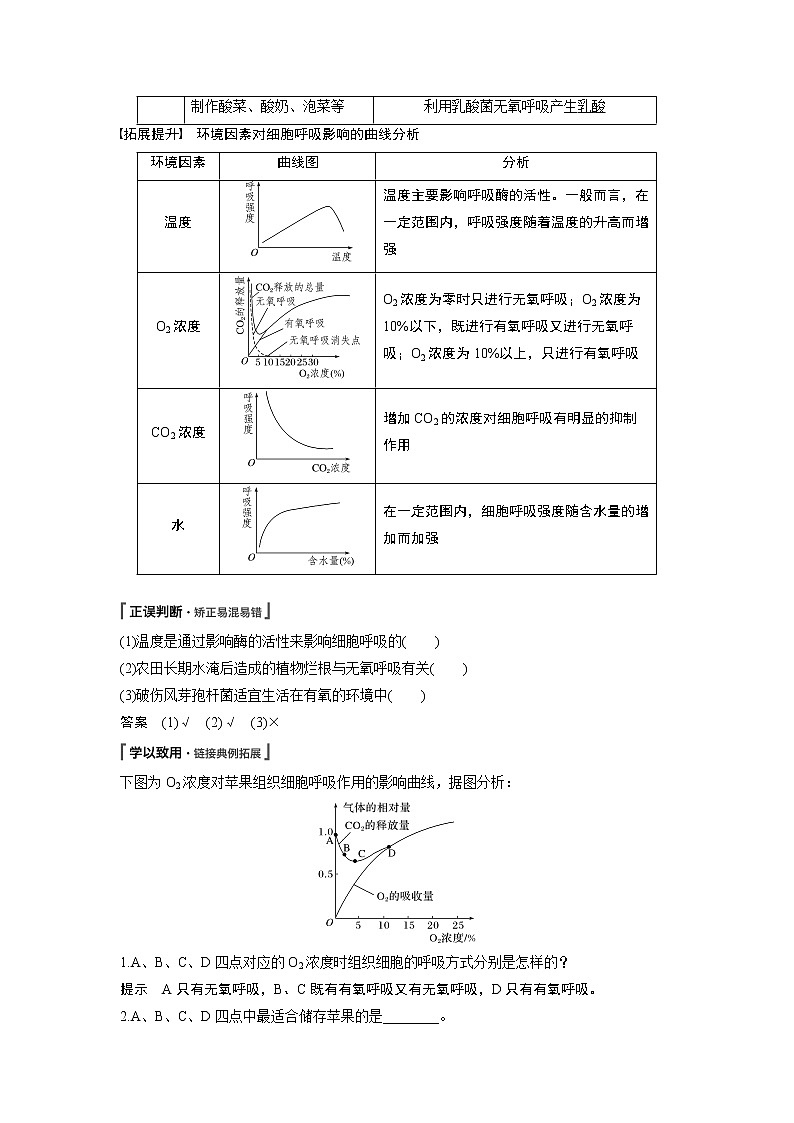 高中生物人教版（2019）必修第一册  第5章 第3节 第2课时　无氧呼吸、细胞呼吸原理的应用教案03