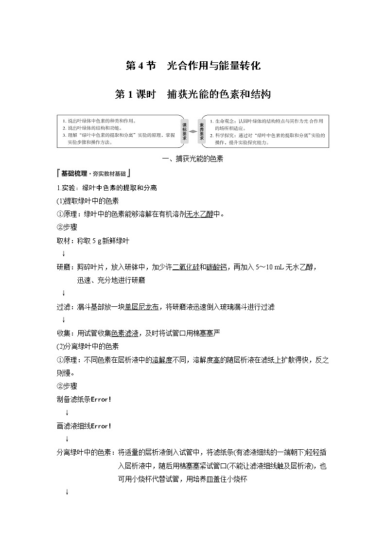 高中生物人教版（2019）必修第一册  第5章 第4节 第1课时　捕获光能的色素和结构教案01