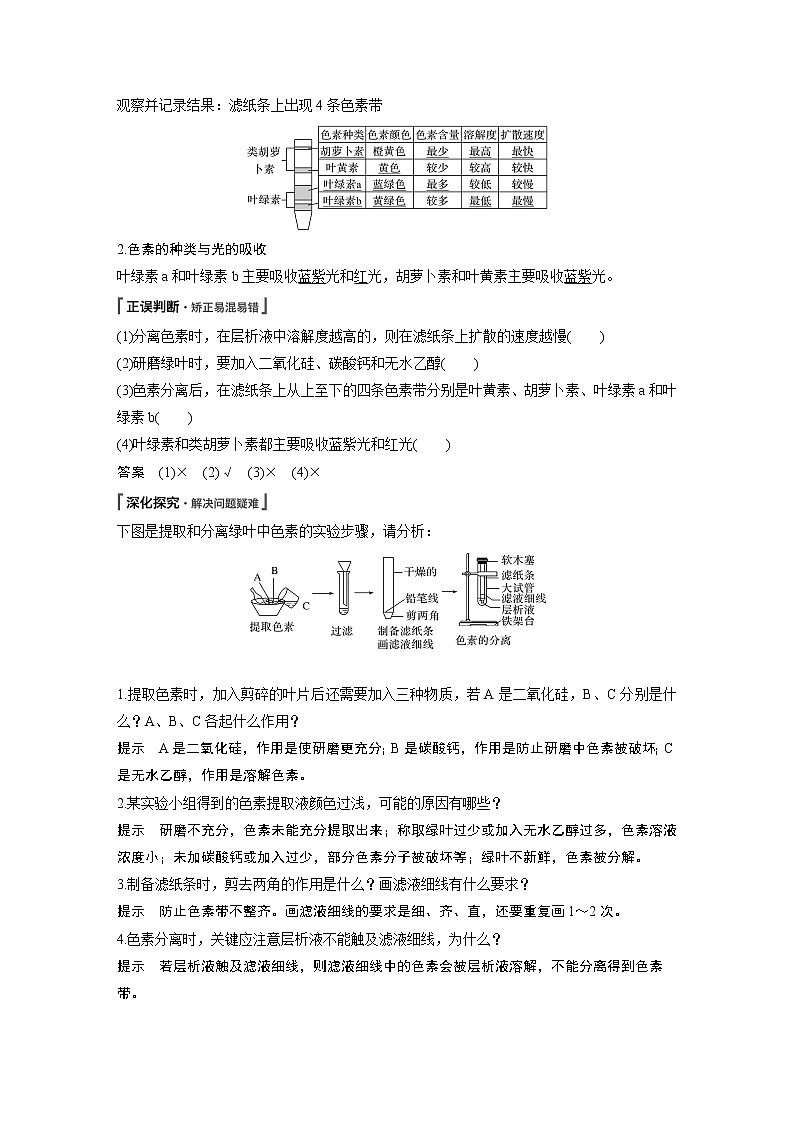 高中生物人教版（2019）必修第一册  第5章 第4节 第1课时　捕获光能的色素和结构教案02