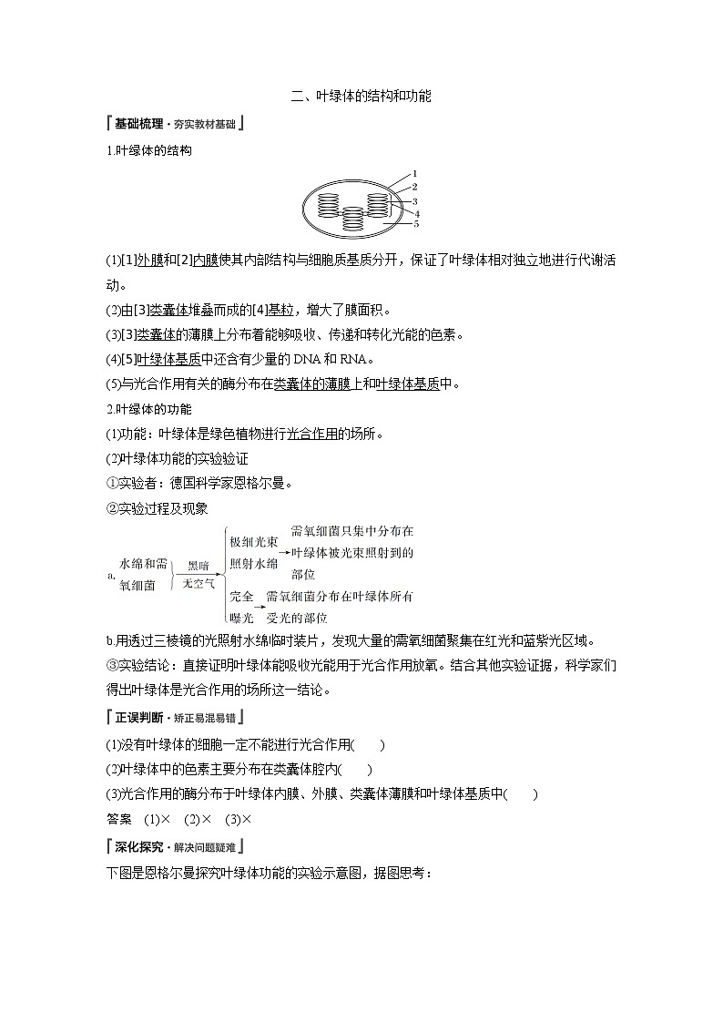 高中生物人教版（2019）必修第一册  第5章 第4节 第1课时　捕获光能的色素和结构教案03