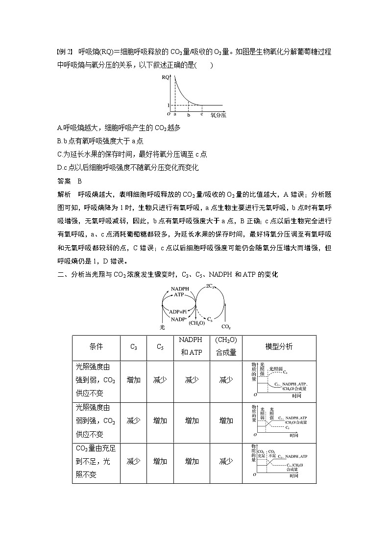 高中生物人教版（2019）必修第一册  第5章 微专题三  光合作用与呼吸作用的综合应用教案03