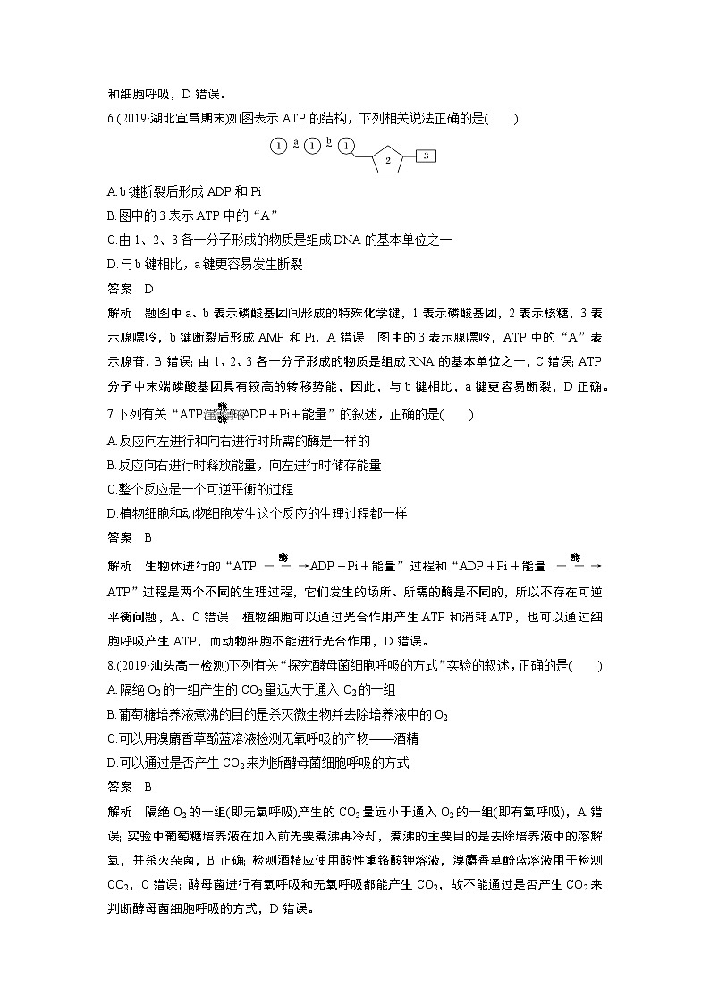 高中生物人教版（2019）必修第一册  章末检测试卷(第5章)03