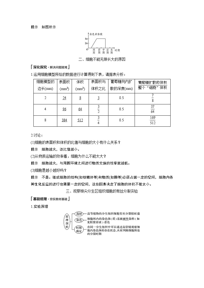 高中生物人教版（2019）必修第一册  第6章 第1节 第2课时　有丝分裂中的染色体行为、数量变化规律及其观察实验教案03