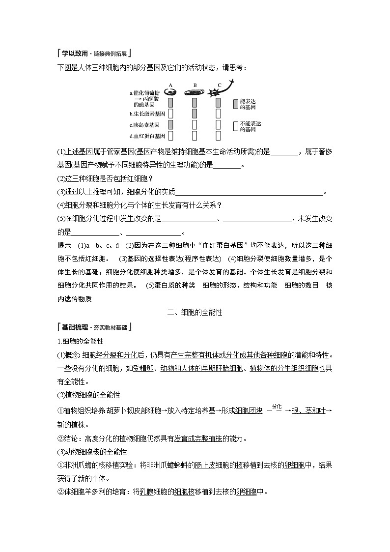 高中生物人教版（2019）必修第一册  第6章 第2节　细胞的分化教案02