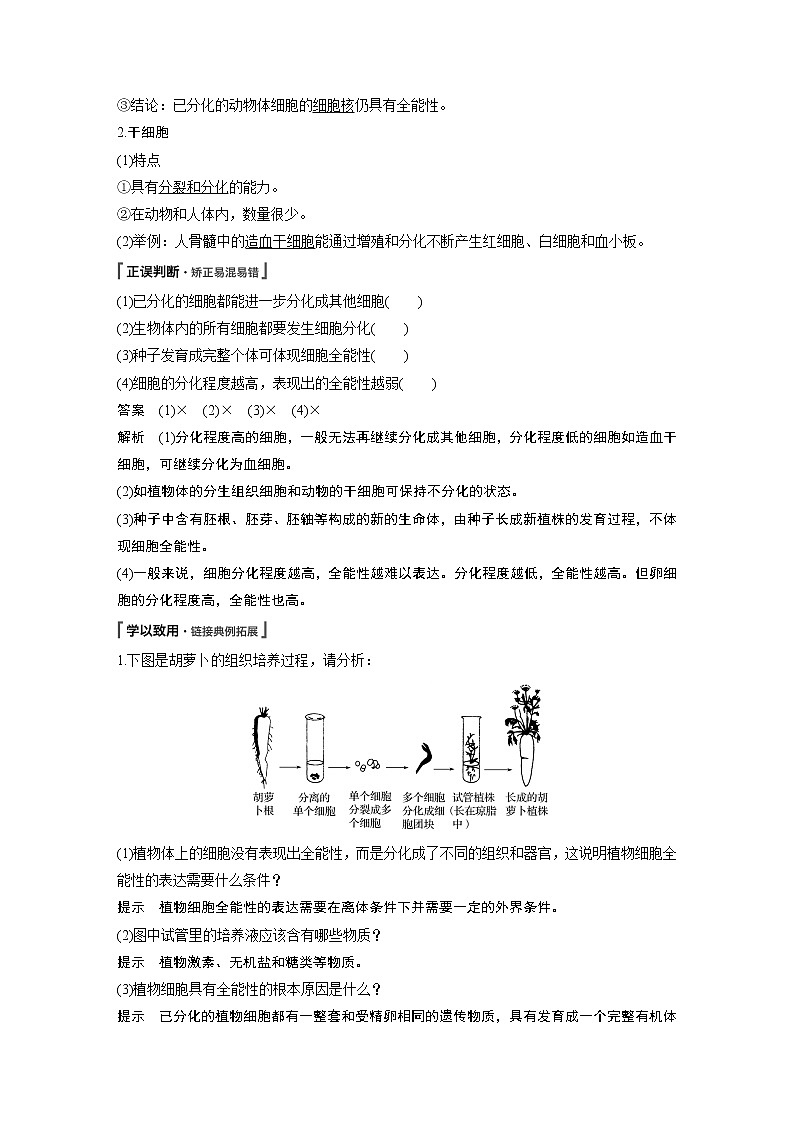 高中生物人教版（2019）必修第一册  第6章 第2节　细胞的分化教案03