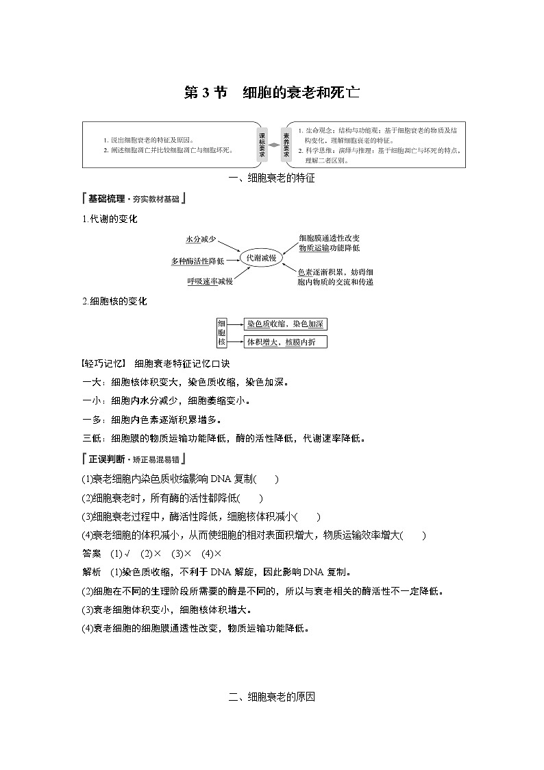 高中生物人教版（2019）必修第一册  第6章 第3节　细胞的衰老和死亡教案01