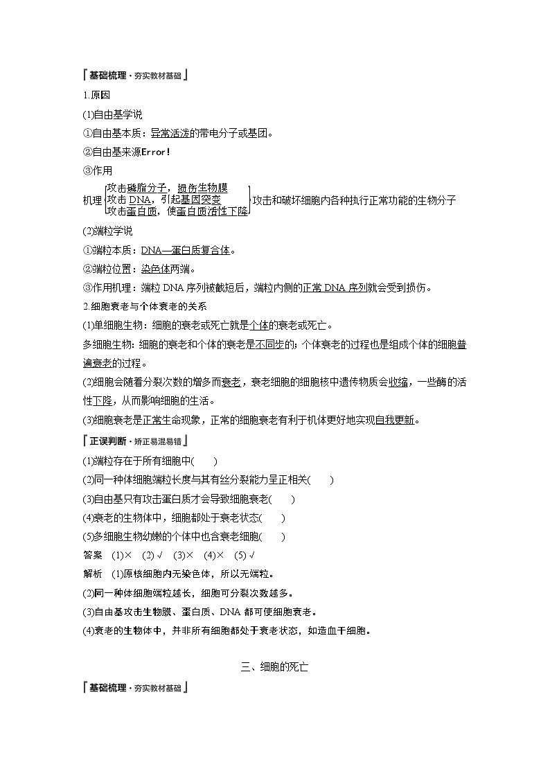 高中生物人教版（2019）必修第一册  第6章 第3节　细胞的衰老和死亡教案02