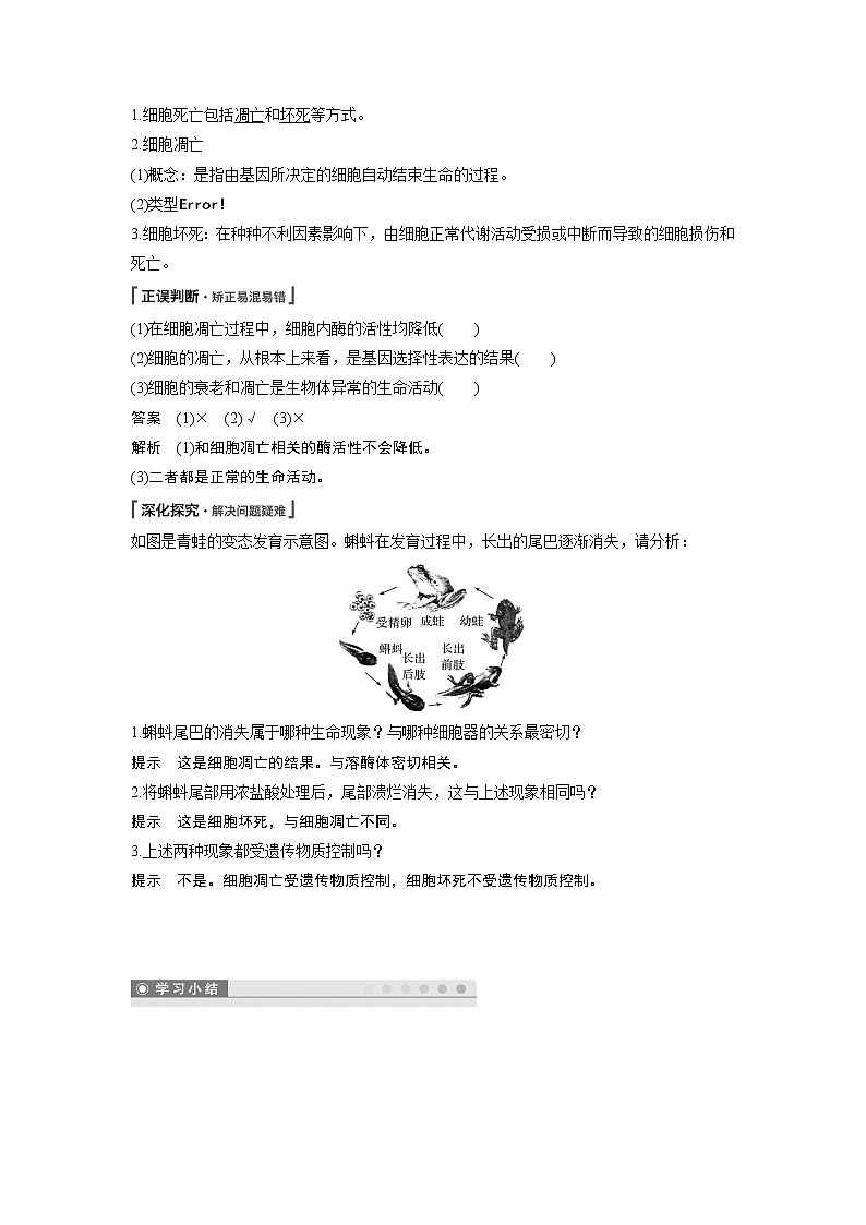 高中生物人教版（2019）必修第一册  第6章 第3节　细胞的衰老和死亡教案03