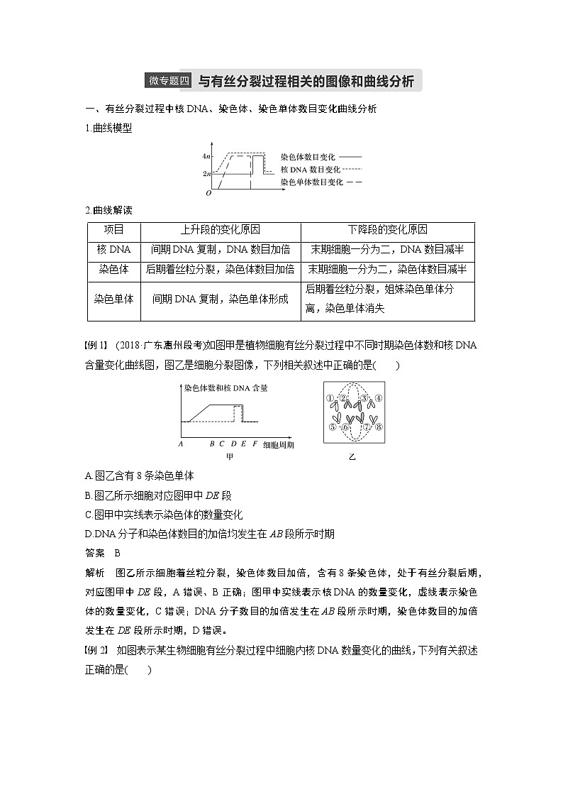 高中生物人教版（2019）必修第一册  第6章 微专题四  与有丝分裂有关的图像与曲线分析教案01