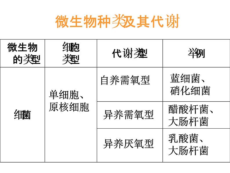 生物：第一部分《实验二 微生物的培养和利用》课件10（浙科版选修1）第5页