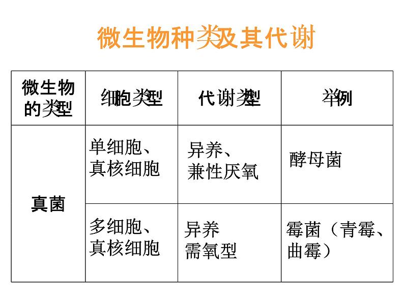 生物：第一部分《实验二 微生物的培养和利用》课件10（浙科版选修1）第6页