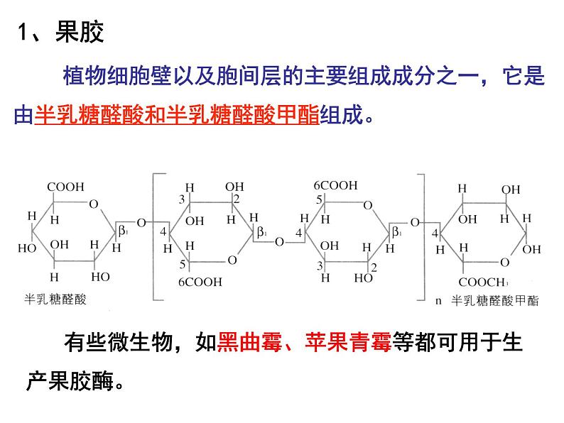 生物：第二部分《实验四 果汁中的果胶和果胶酶》课件7（浙科版选修1）02