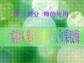 生物：第二部分《实验四 果汁中的果胶和果胶酶》课件10（浙科版选修1）