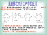 生物：第二部分《实验四 果汁中的果胶和果胶酶》课件10（浙科版选修1）