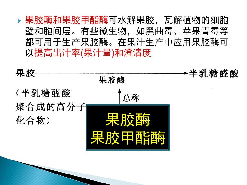 生物：第二部分《实验四 果汁中的果胶和果胶酶》课件8（浙科版选修1）08