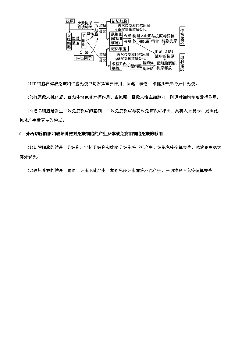 （新高考）2021届高考二轮复习专题八 人体的内环境与稳态、免疫调节 学生版第3页