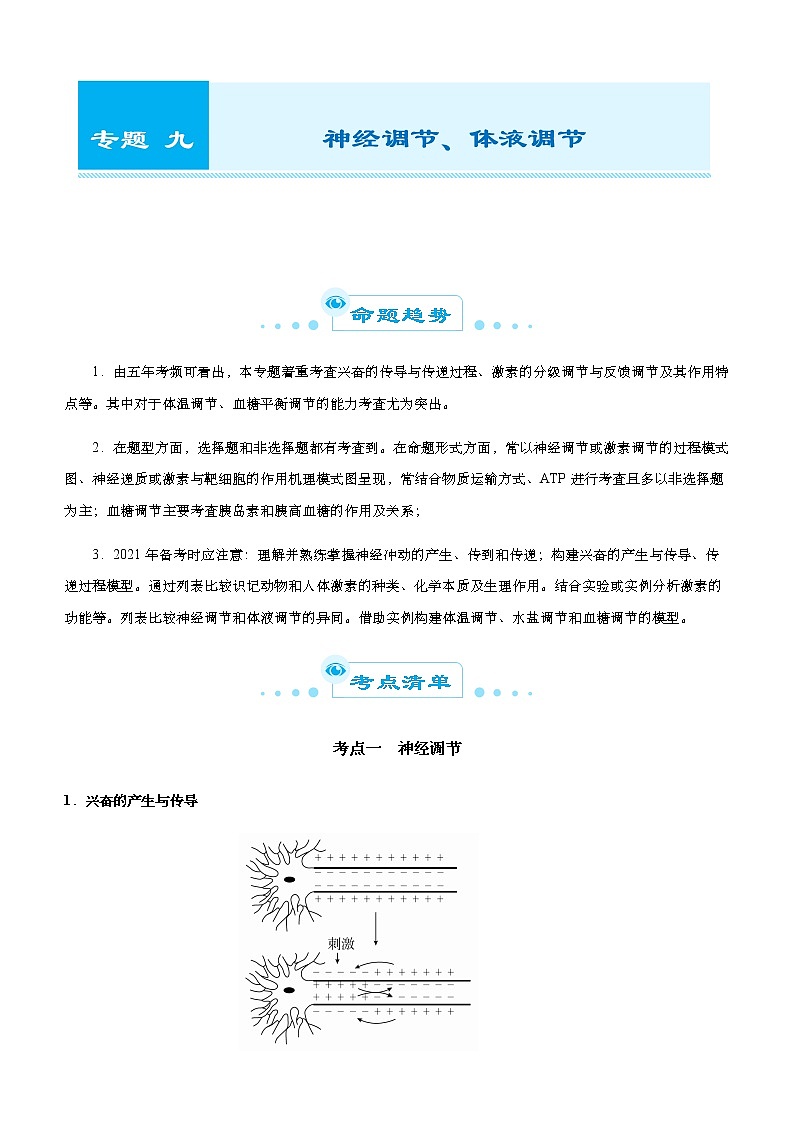 （新高考）2021届高考二轮复习专题九 神经调节、体液调节 教师版第1页