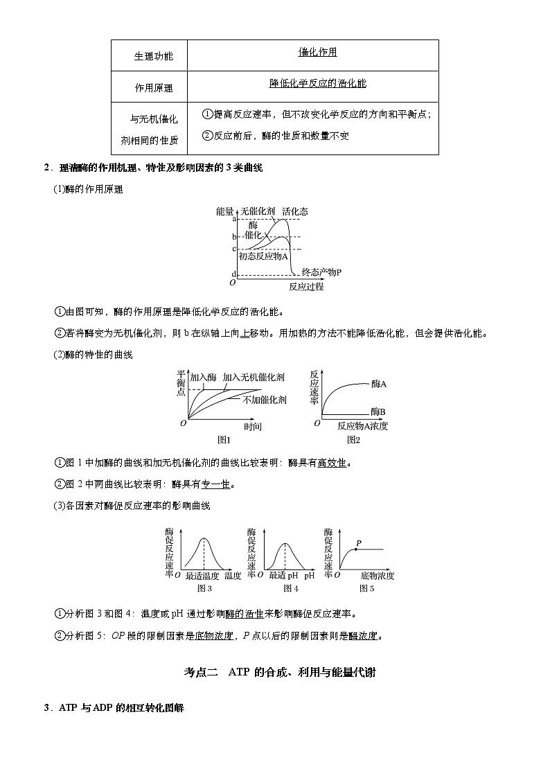 （新高考）2021届高考二轮复习专题三 细胞的能量供应和利用 教师版02
