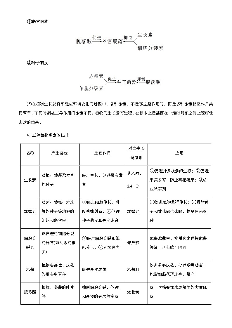 （新高考）2021届高考二轮复习专题十 植物生命活动的调节 教师版第3页