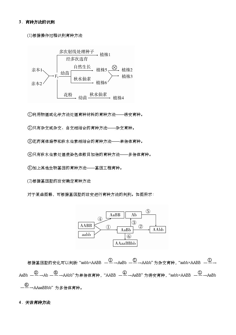 （新高考）2021届高考二轮复习专题七 生物的变异、育种和进化 学生版03