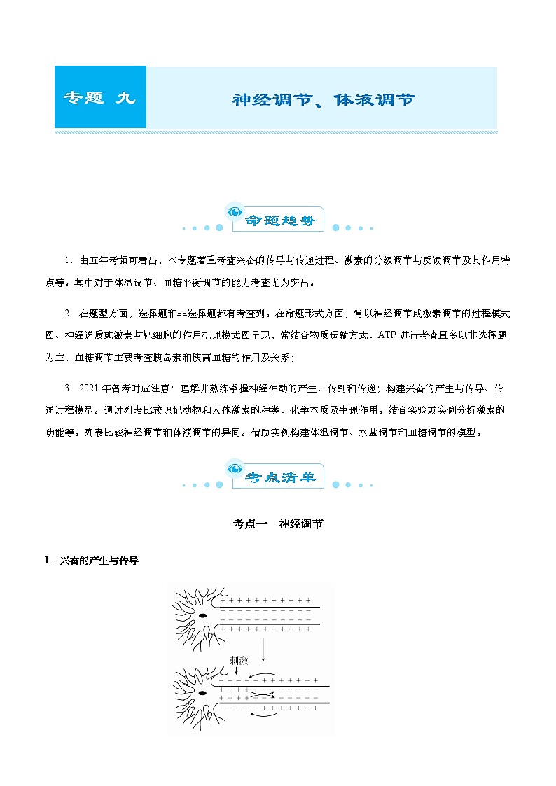 （新高考）2021届高考二轮复习专题九 神经调节、体液调节 学生版第1页