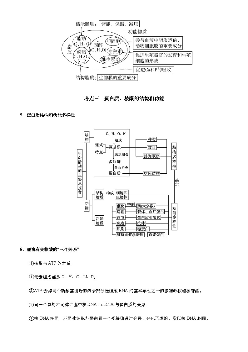 （新高考）2021届高考二轮复习专题一 组成细胞的分子 学生版03