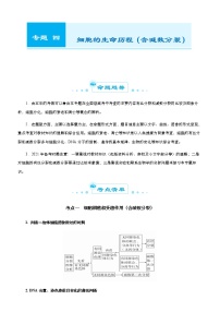 （新高考）2021届高考二轮复习专题四 细胞的生命历程（含减数分裂） 学生版