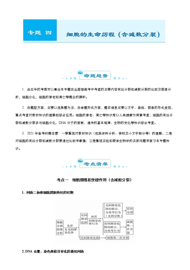 （新高考）2021届高考二轮复习专题四 细胞的生命历程（含减数分裂） 学生版第1页