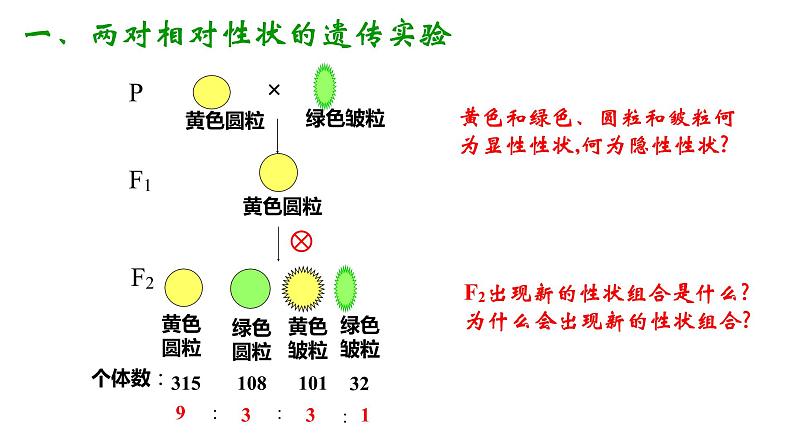 高中生物必修二遗传与进化第一章第二节孟德尔的豌豆杂交实验（二）课件，精品课示范课第3页