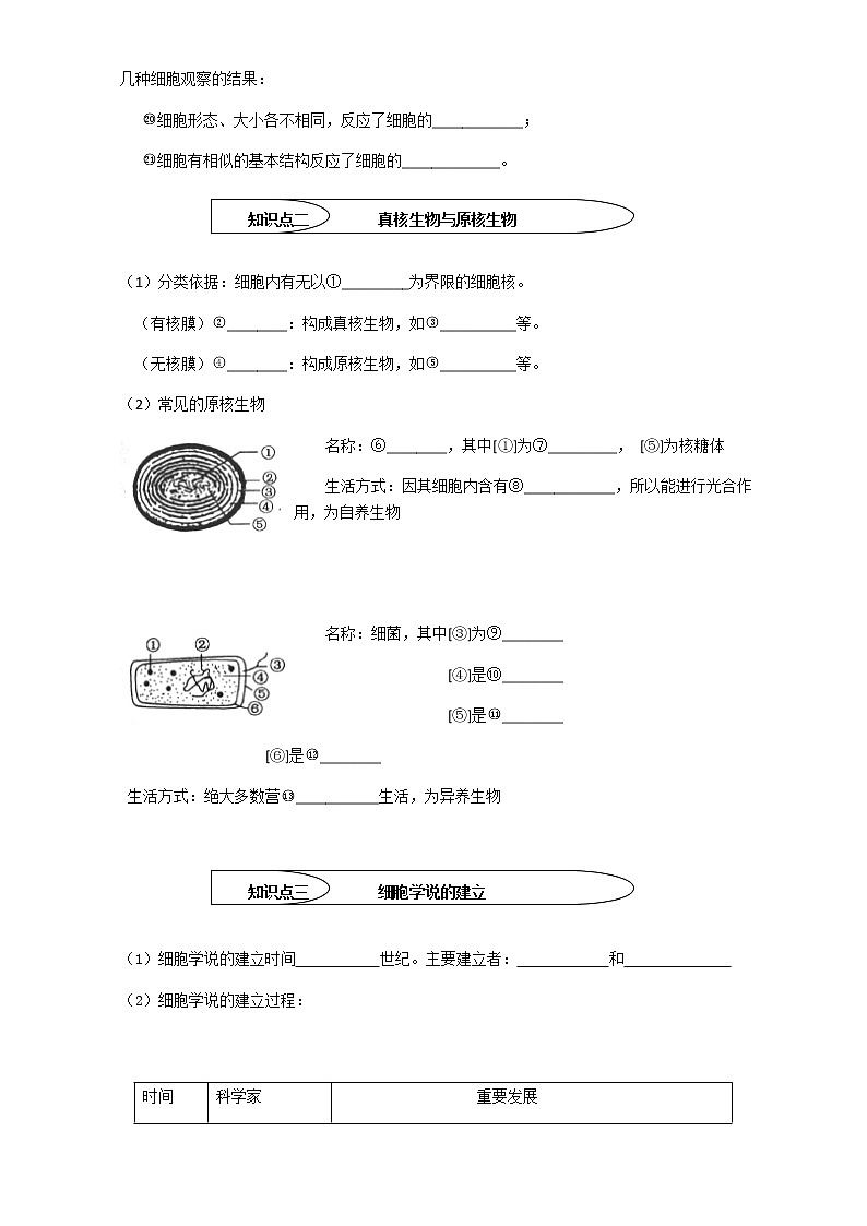 人教版高中生物必修1学案：1.2 细胞的多样性和统一性 Word版含答案第3页