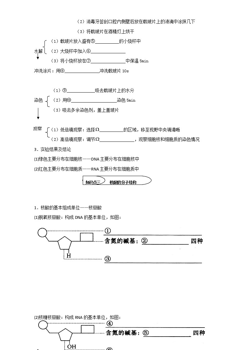 人教版高中生物必修1学案：2.3 遗传信息的携带者——核酸 Word版含答案02