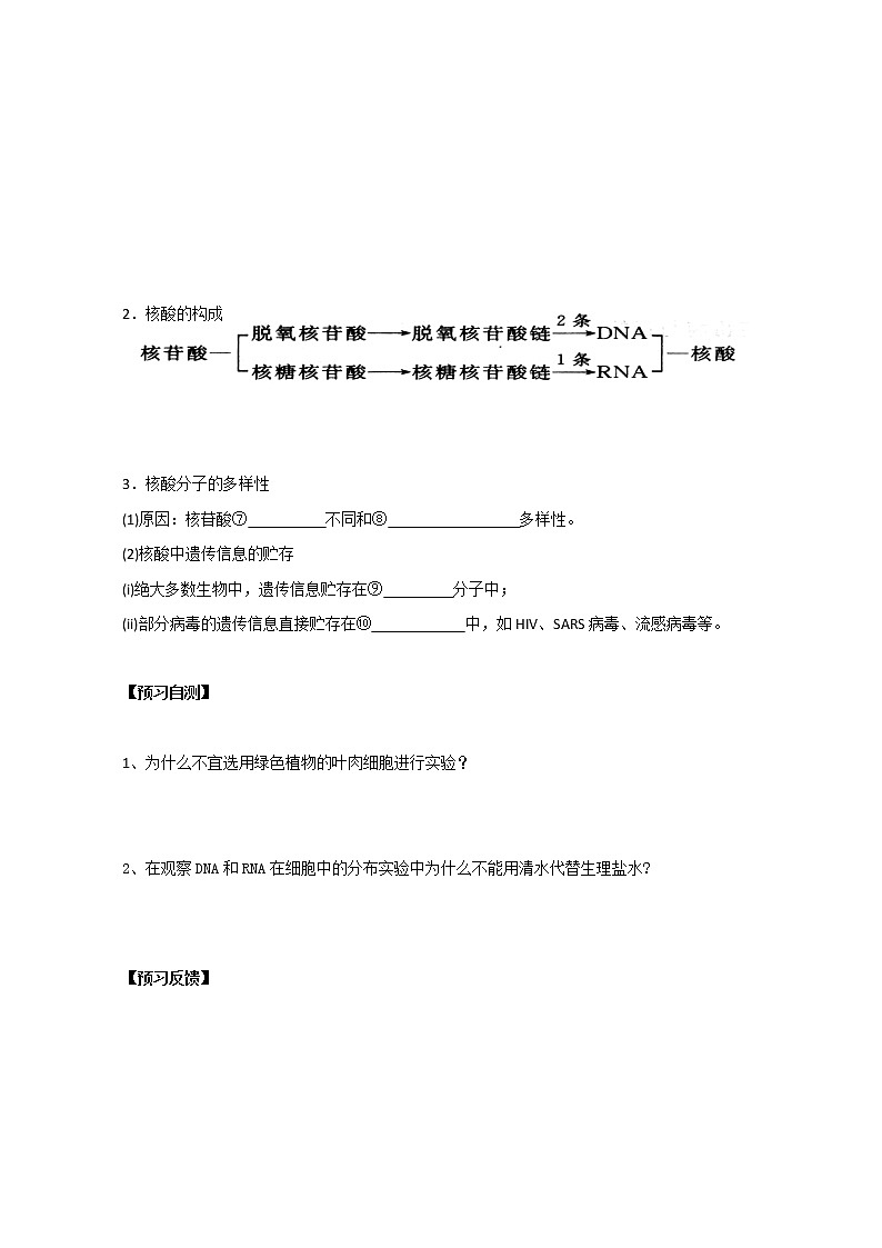 人教版高中生物必修1学案：2.3 遗传信息的携带者——核酸 Word版含答案03