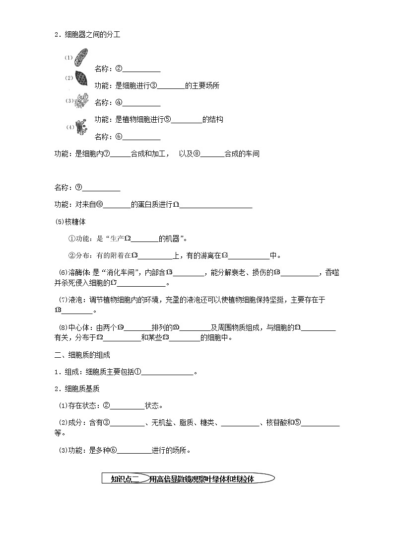 人教版高中生物必修1学案：3.2 细胞器——系统内的分工合作 Word版含答案02