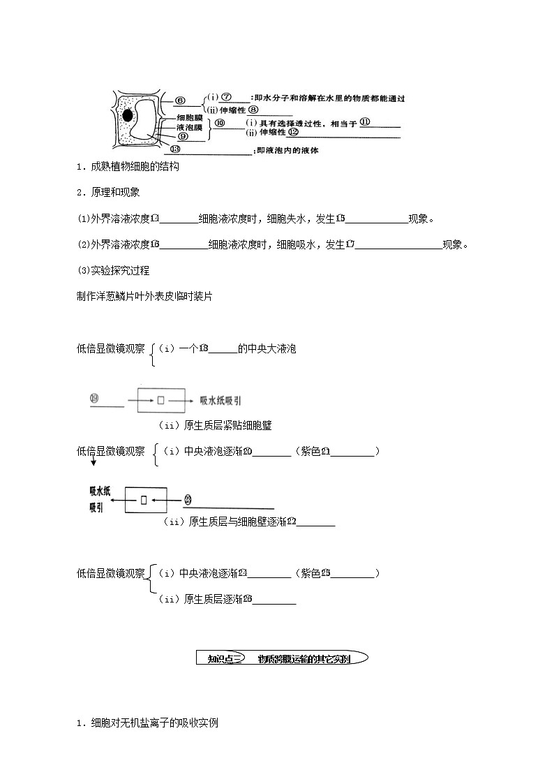 人教版高中生物必修1学案：4.1 物质跨膜运输的实例 Word版含答案02
