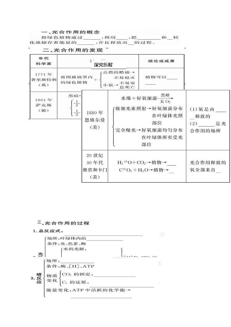 人教版高中生物必修1学案：5.4 能量之源——光与光合作用 Word版含答案02