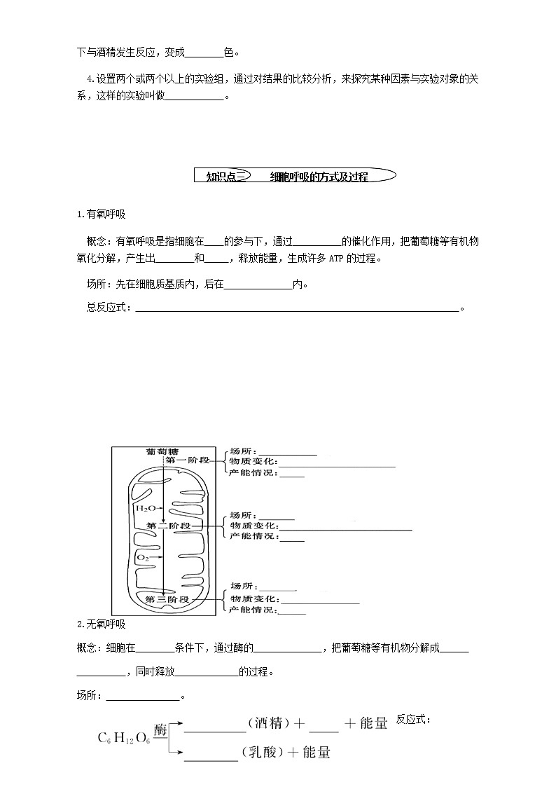 人教版高中生物必修1学案：5.3 ATP的主要来源—细胞呼吸 Word版含答案第2页