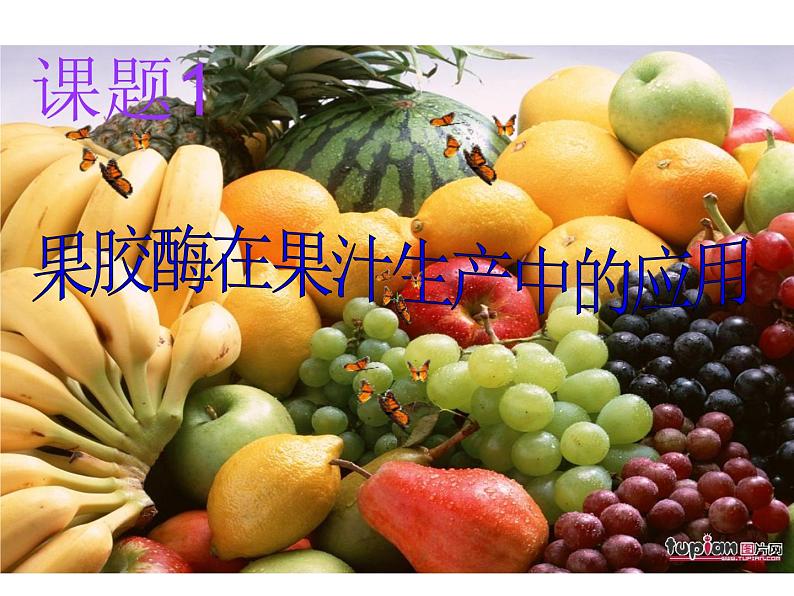 生物：4.1《果胶酶在果汁生产中的应用》课件（1）（新人教版选修1）01