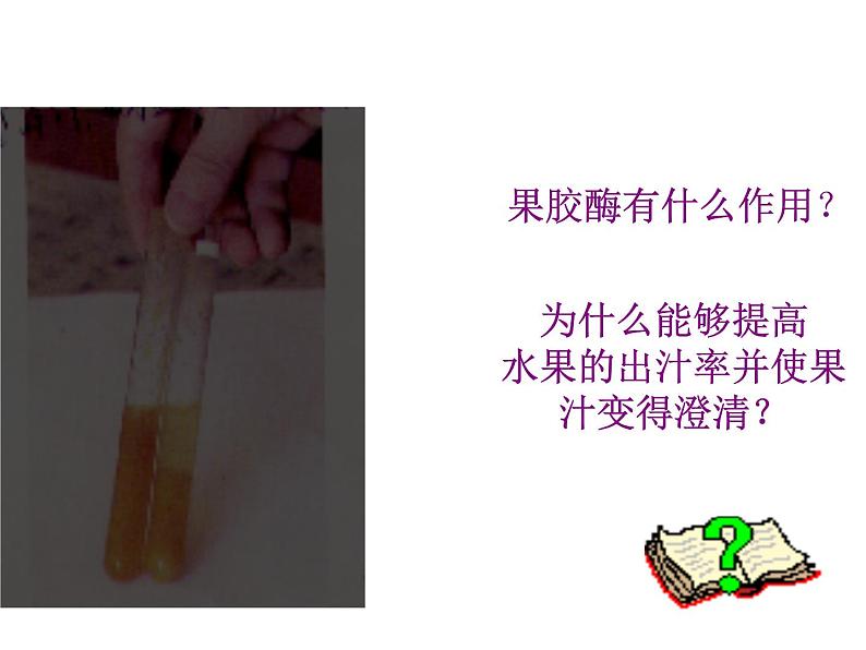 生物：4.1《果胶酶在果汁生产中的应用》课件（1）（新人教版选修1）05