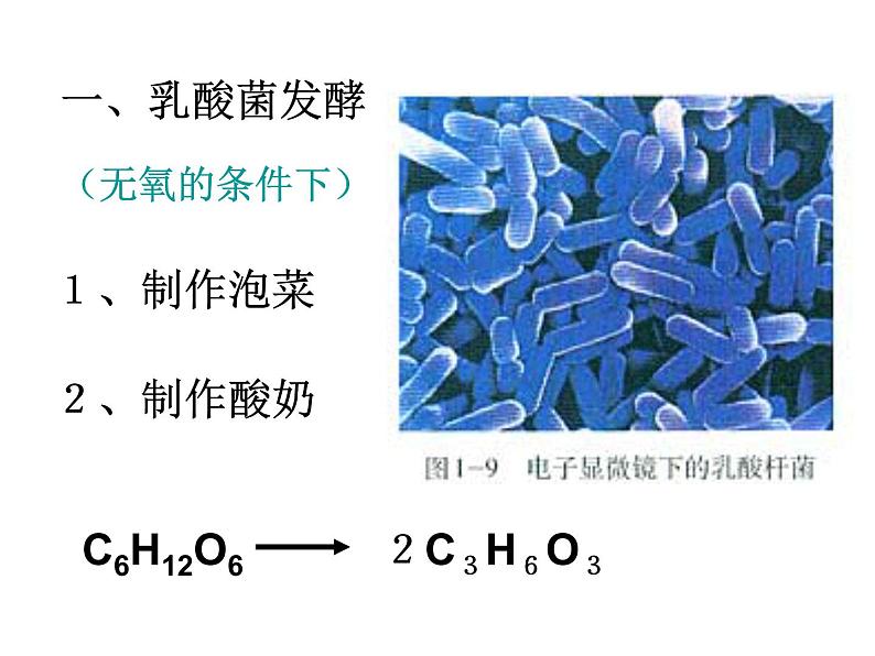 生物：1.3《制作泡菜并检测亚硝酸盐含量》课件（1）（新人教版选修1）02