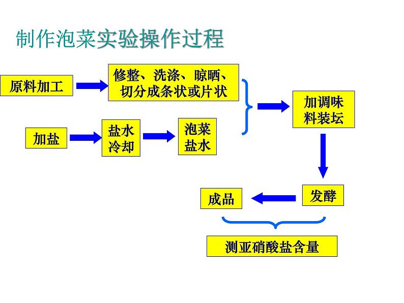 生物：1.3《制作泡菜并检测亚硝酸盐含量》课件（1）（新人教版选修1）06