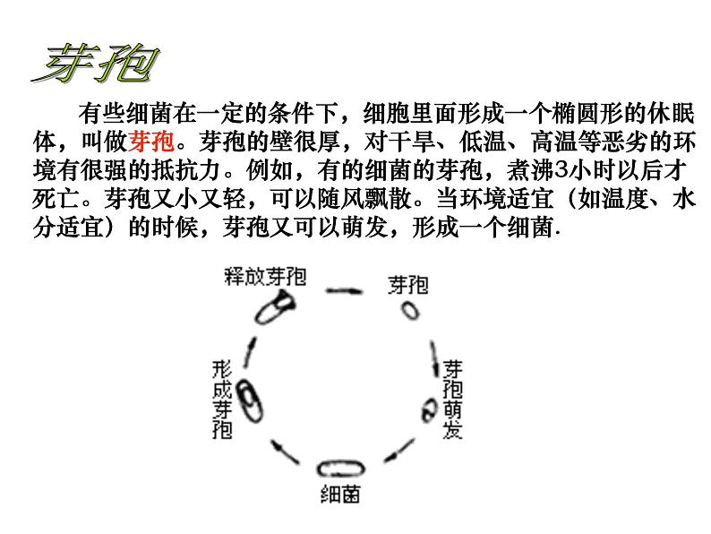 生物：2.1《微生物的实验室培养》课件（1）（新人教版选修1）06