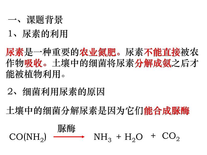 生物：2.2《土壤中分解尿素的细菌的分离与计数》课件（新人教版选修1）02