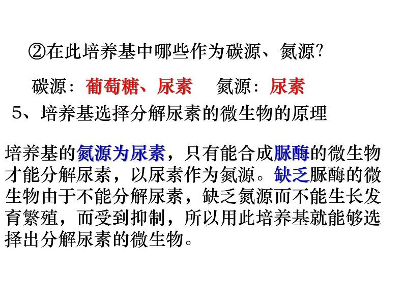 生物：2.2《土壤中分解尿素的细菌的分离与计数》课件（新人教版选修1）07